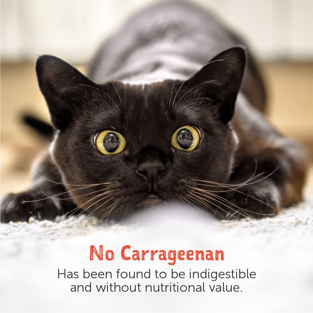 Loveabowl Tuna Ribbons In Broth (Tuna And Red Snapper) Grain Free Wet Cat Food 70g