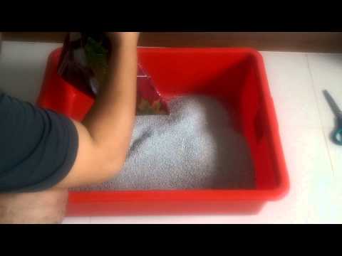 Canada Litter 18KG – Unscented