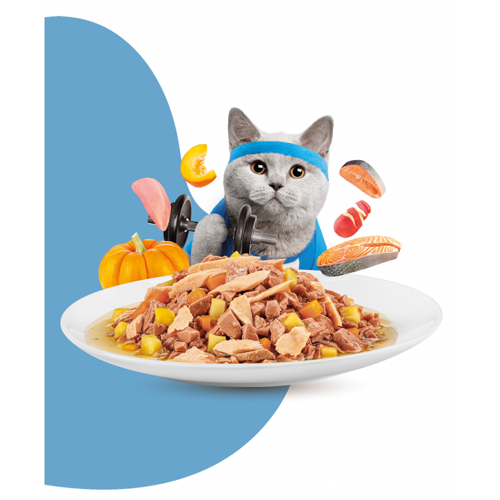Moochie Cat Food Mince With Salmon - Weight Control Pouch