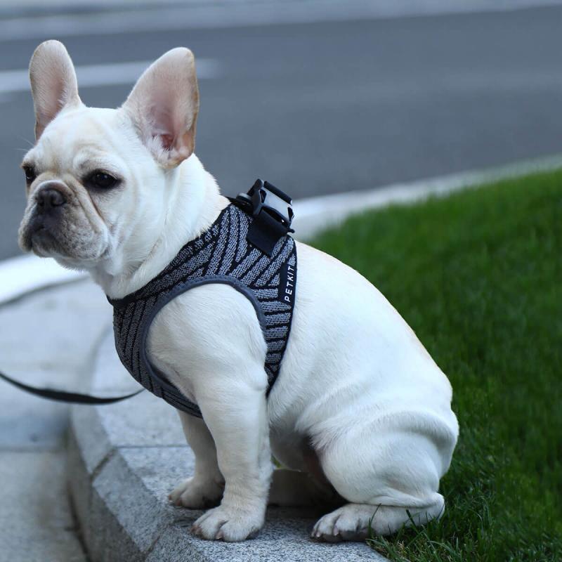 Blunzo PETKIT - AIR FLY HARNESS