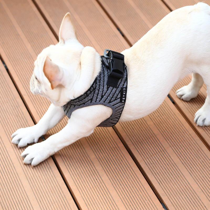 Blunzo PETKIT - AIR FLY HARNESS