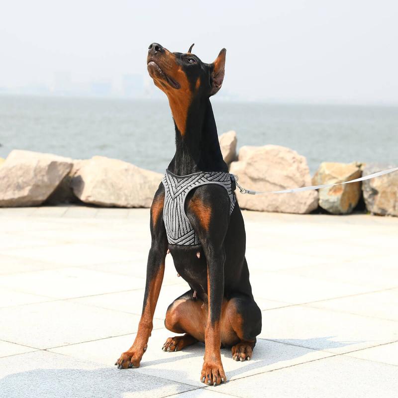 Blunzo PETKIT - AIR FLY HARNESS