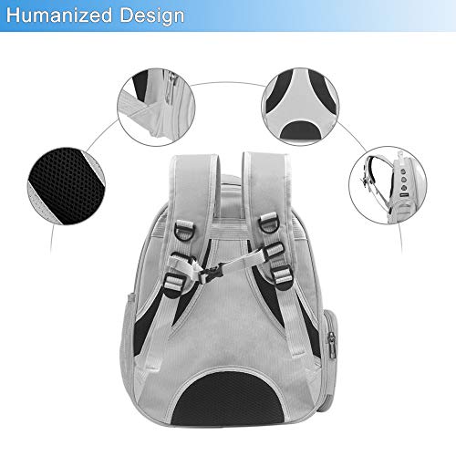 Pet Back pack