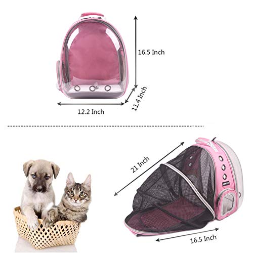 Pet Back pack