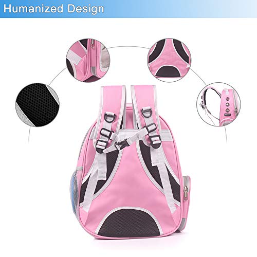 Pet Back pack