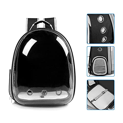 Pet Back pack