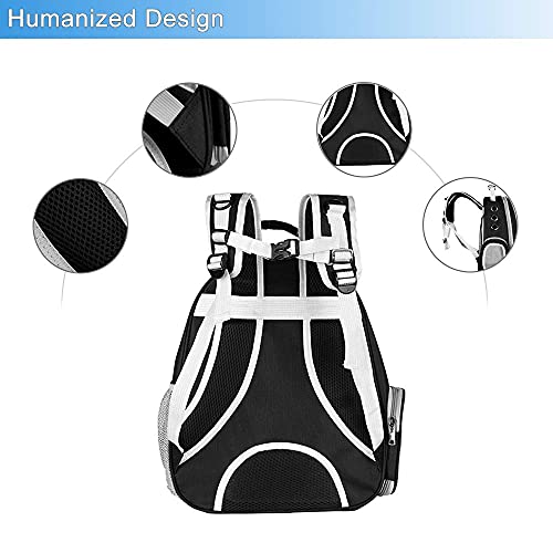 Pet Back pack