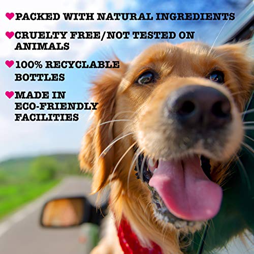 PET HEAD Dog Shampoo 475ml, Yummy Orange Scent, Best Dog Shampoo for Smelly Dogs, Gentle Formula Shampoo for Puppies