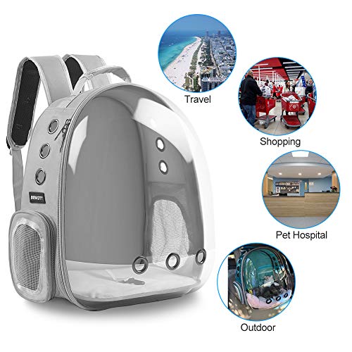Pet Back pack