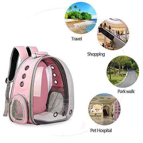 Pet Back pack