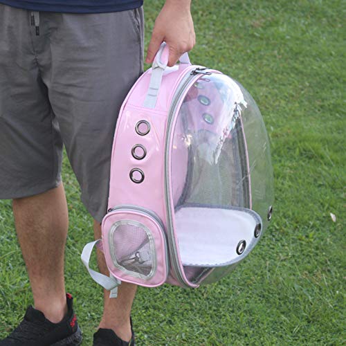 Pet Back pack