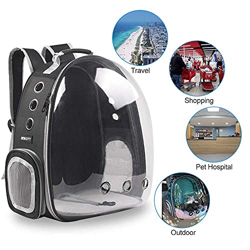 Pet Back pack