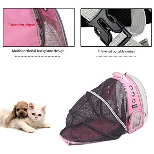 Pet Back pack