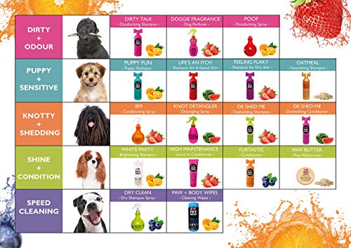 PET HEAD Dog Shampoo 475ml, Yummy Orange Scent, Best Dog Shampoo for Smelly Dogs, Gentle Formula Shampoo for Puppies