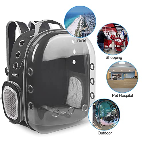 Pet Back pack