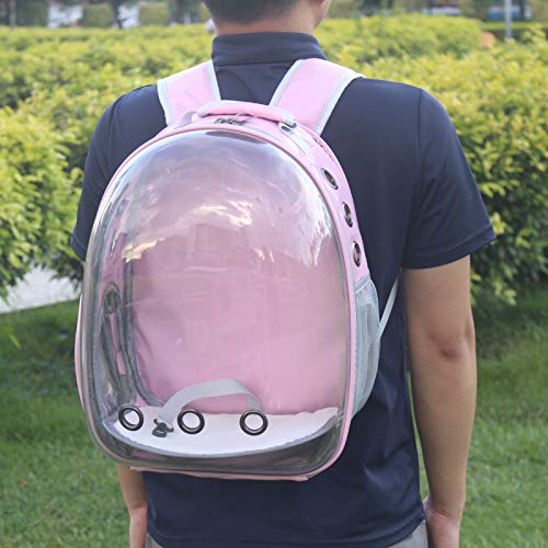 Pet Back pack