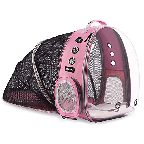 Pet Back pack