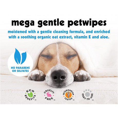 Petkin Pet Wipes 100ct PACK OF 1