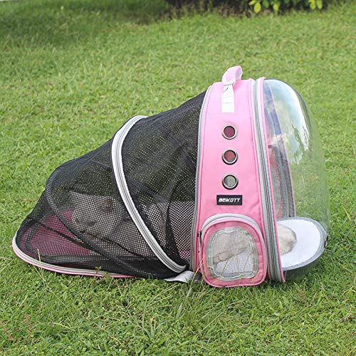 Pet Back pack