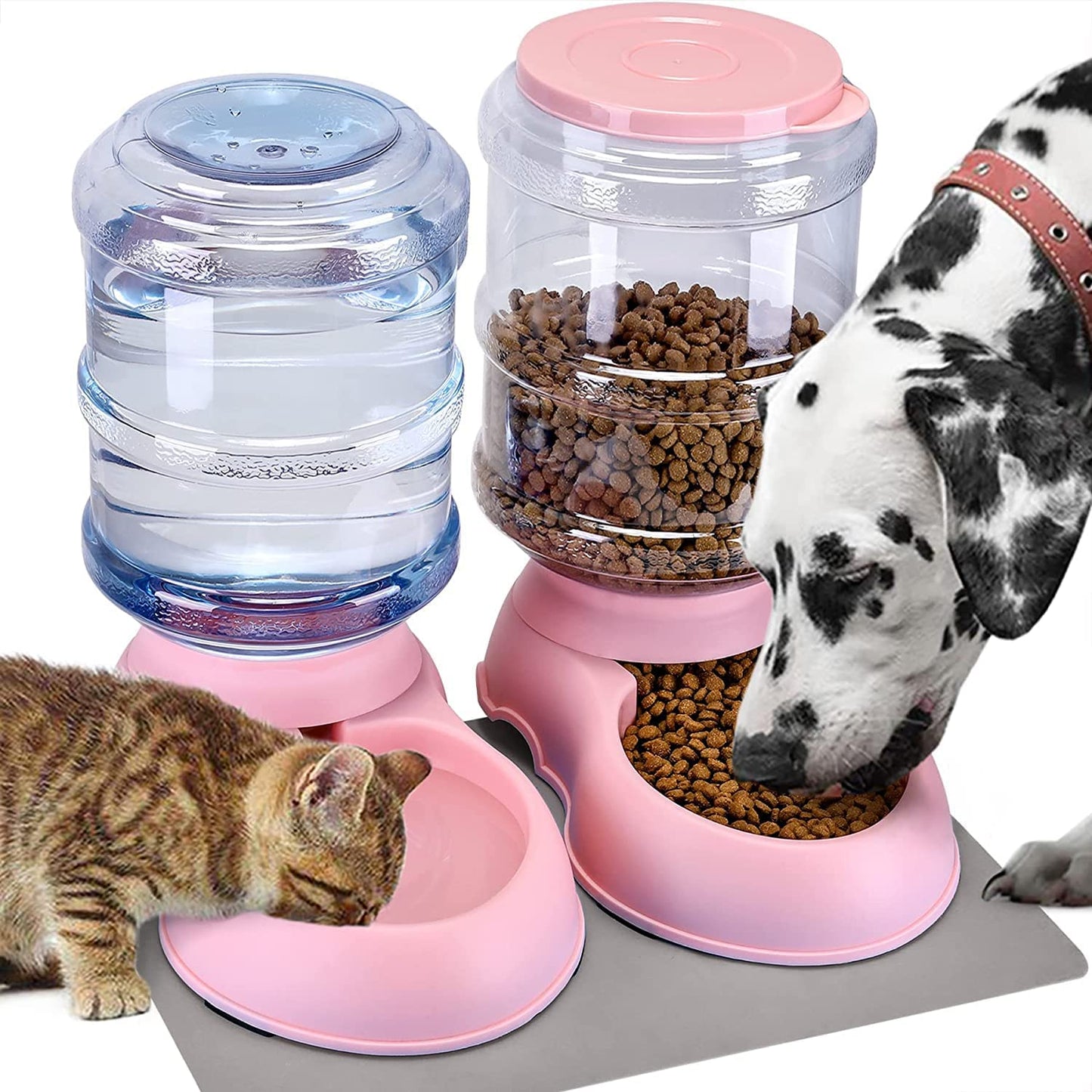 2 Pack Automatic pet Feeder and Water Dispense
