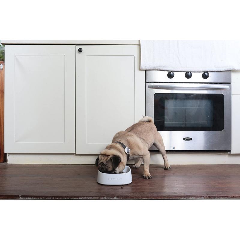 PETKIT "ANTIBACTERIAL" BOWL - WHITE