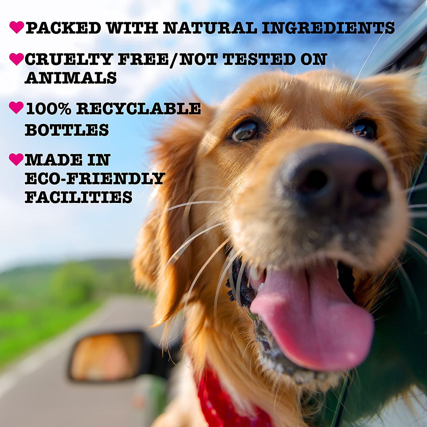 Pet Head Life's an Itch Skin Soothing Shampoo