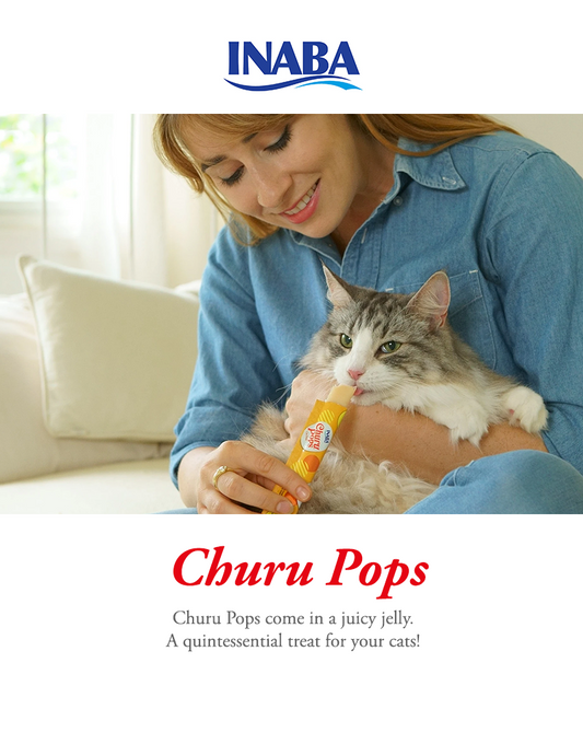 Churu Pops Tuna Recipe 4PCS/PK