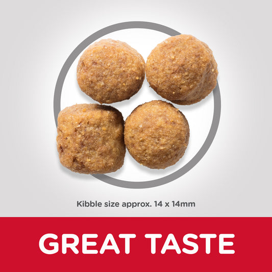 Hill’s Science Plan Large Breed Adult Dog Food