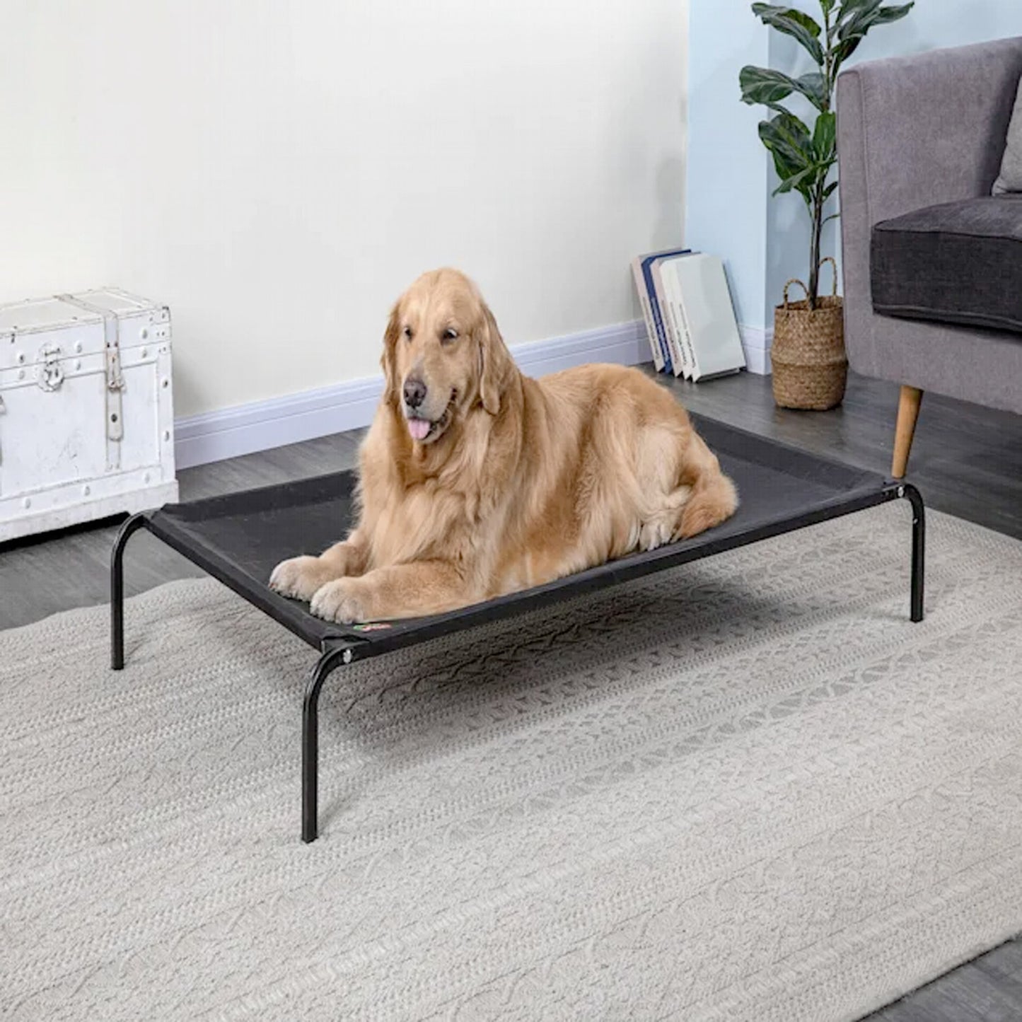 Elevated Cooling Pet Cot Bed (ALL SIZES)