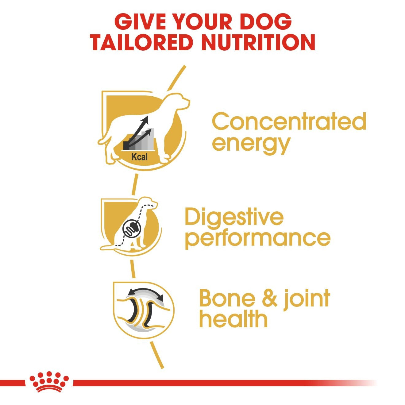 ROYAL CANIN GREAT DANE ADULT 12 KG