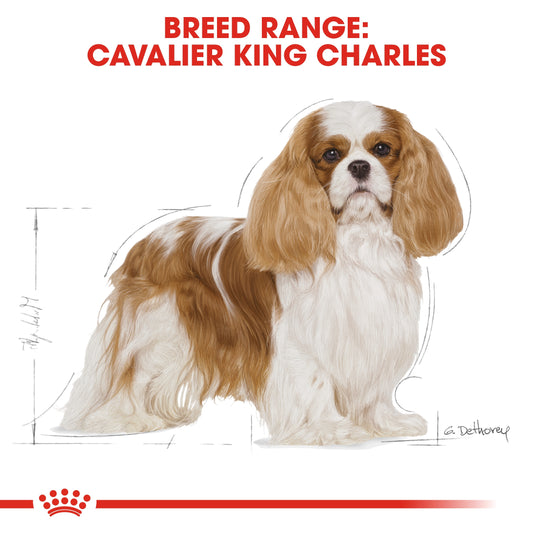BREED HEALTH NUTRITION CAVALIER KING CHARLES ADULT 1.5 KG