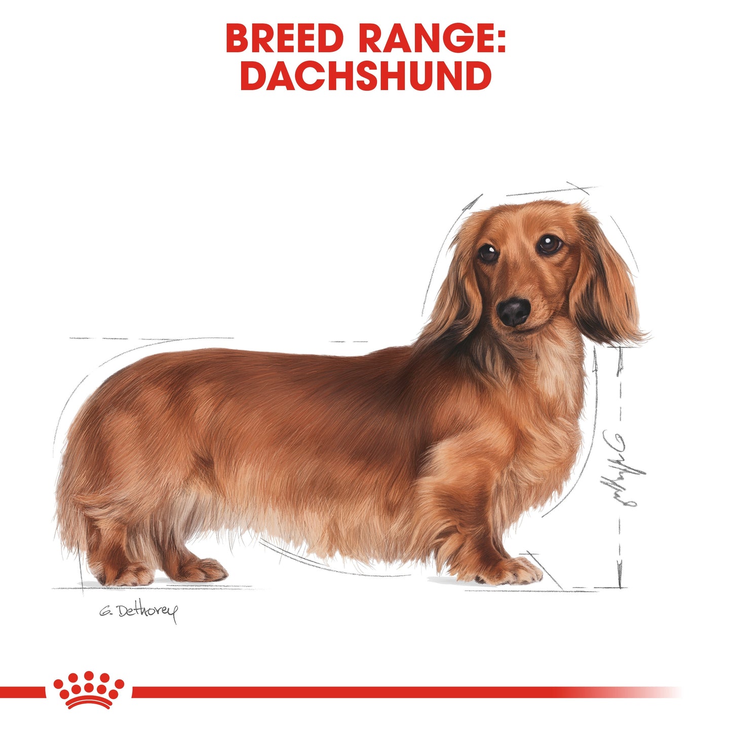 BREED HEALTH NUTRITION DACHSHUND ADULT 1.5 KG