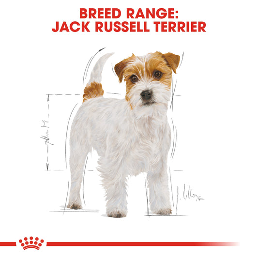 ROYAL CANIN JACK RUSSELL ADULT 1.5 KG