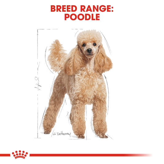 ROYAL CANIN POODLE ADULT 1.5 KG