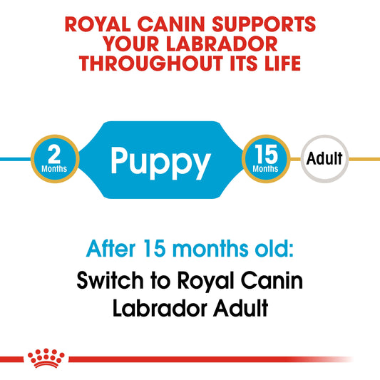 ROYAL CANIN LABRADOR PUPPY