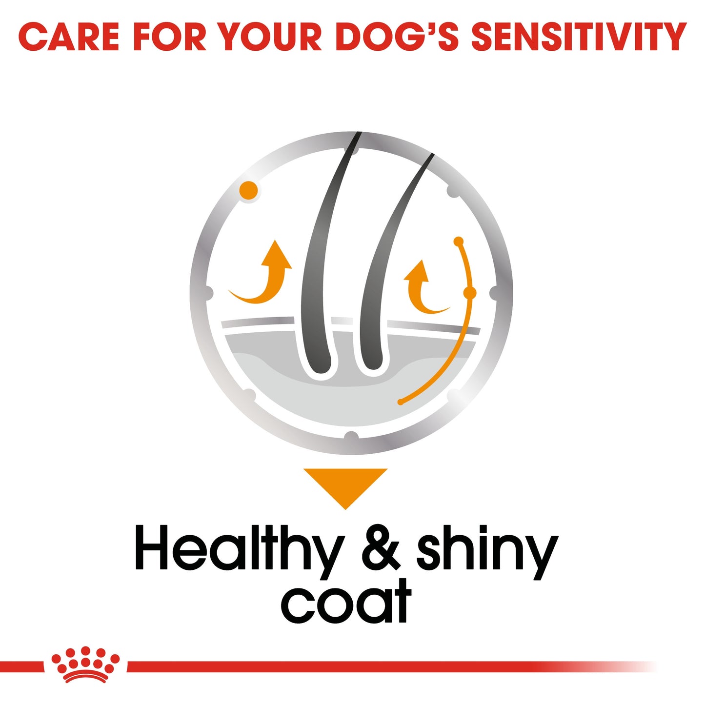 ROYAL CANIN COAT BEAUTY (WET FOOD - POUCHES)