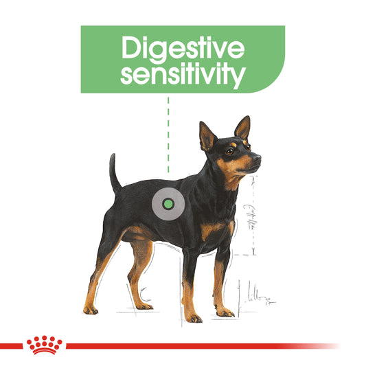 ROYAL CANIN DIGESTIVE CARE (WET FOOD - POUCHES)