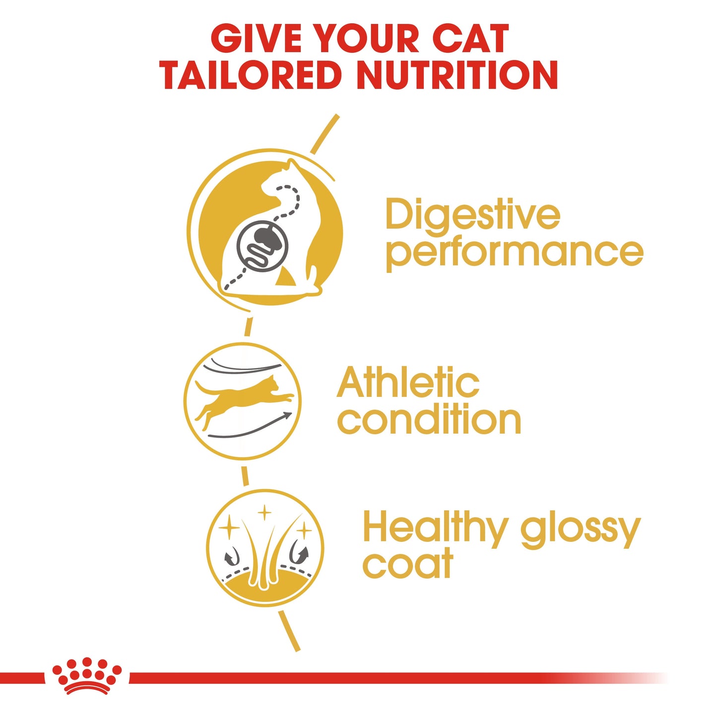 Royal Canin BENGAL ADULT 2 KG