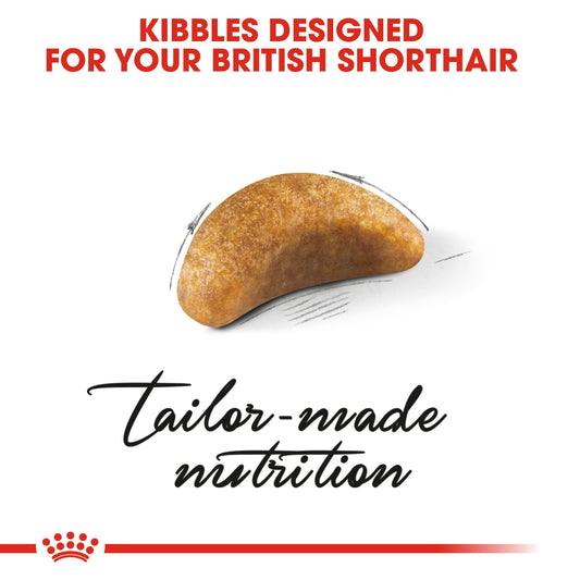 Royal Canin BRITISH SHORTHAIR KITTEN 2 KG