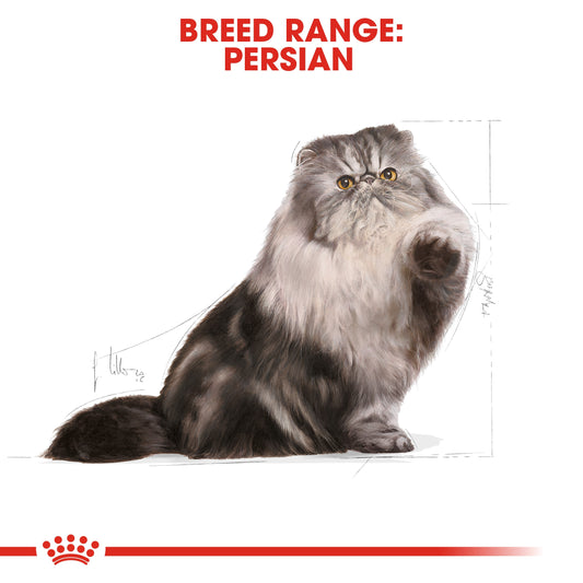 Royal Canin PERSIAN ADULT 10 KG