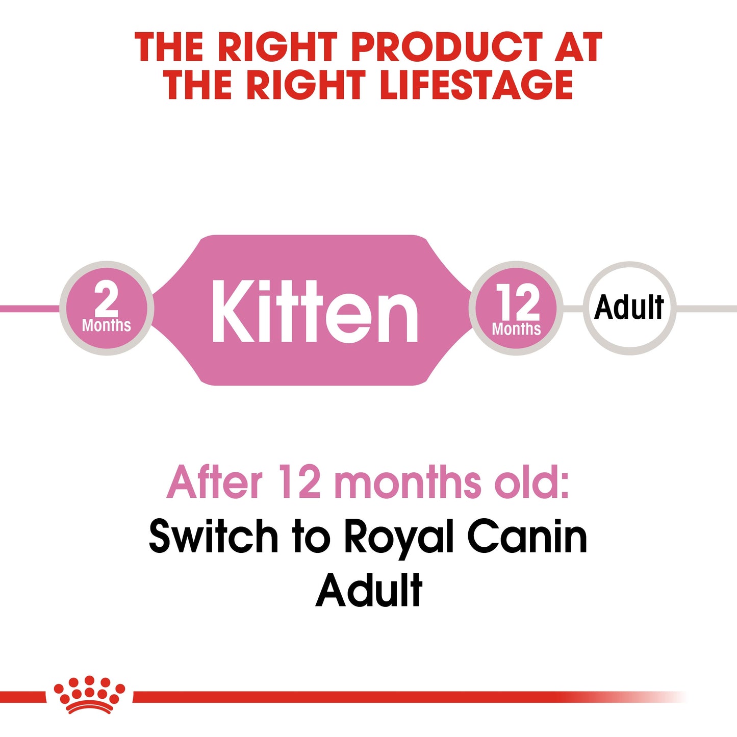 Royal Canin NUTRITION KITTEN 10 Kg