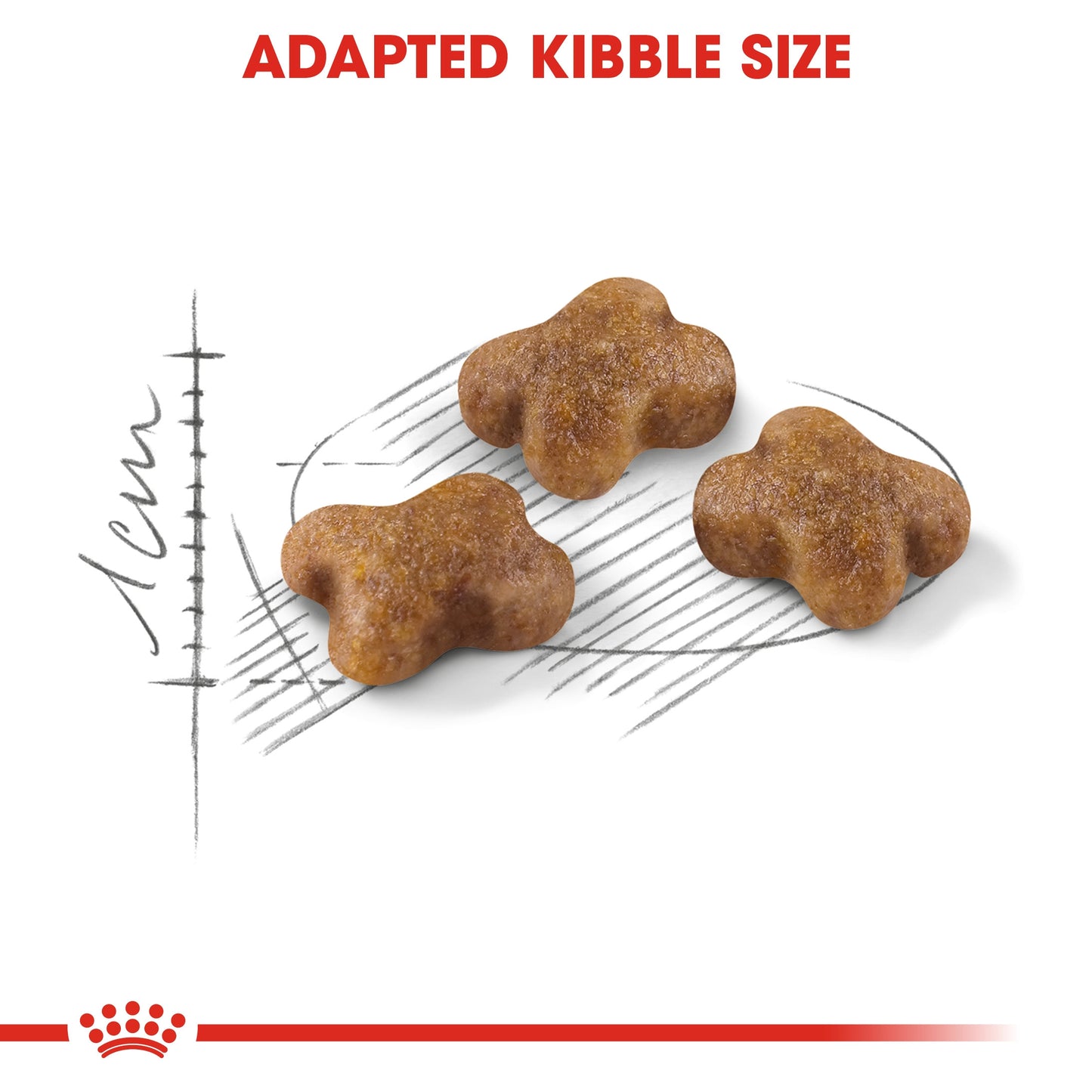 Royal Canin NUTRITION KITTEN 10 Kg