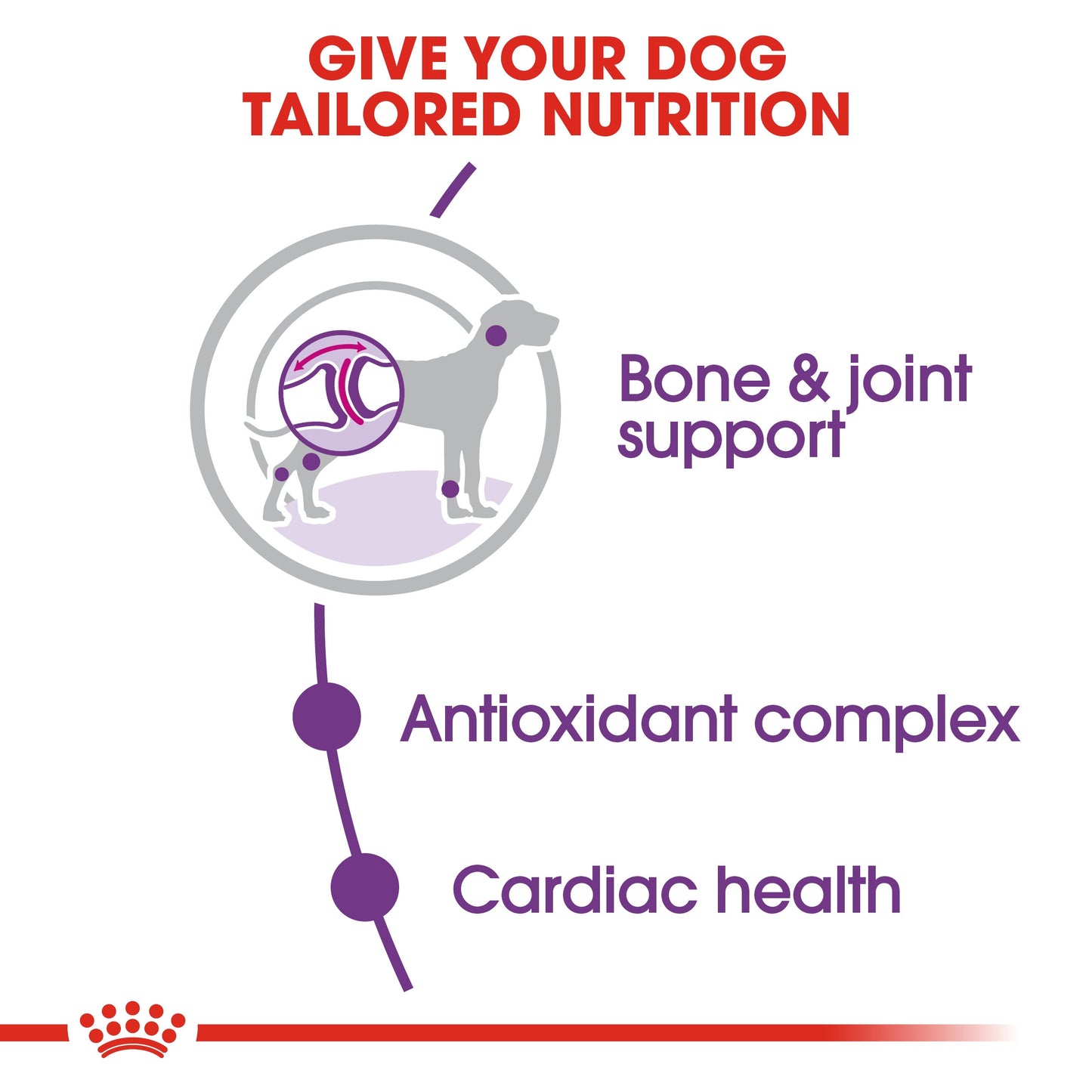 Royal Canin GIANT ADULT 15 KG