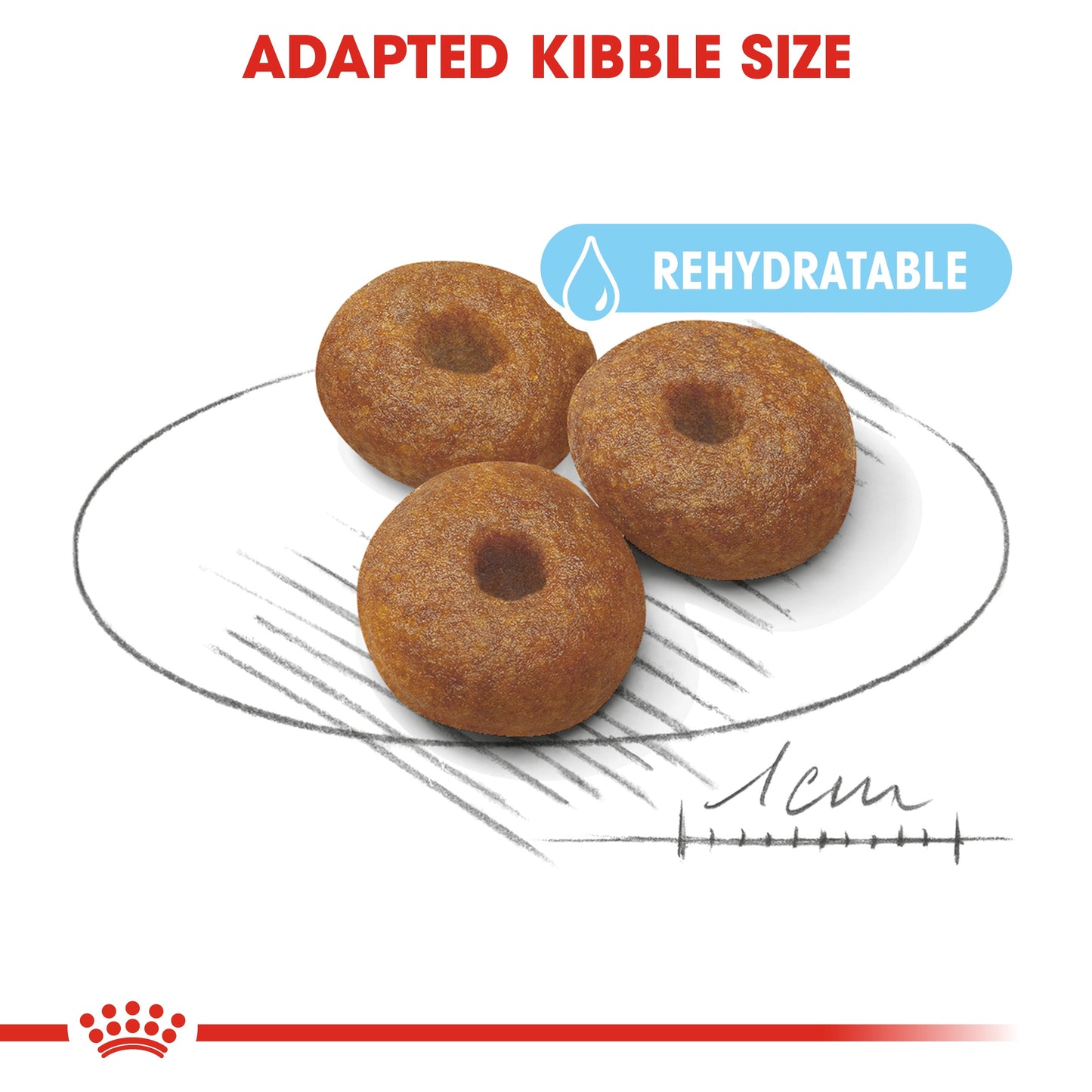 Royal Canin MAXI STARTER 15 KG