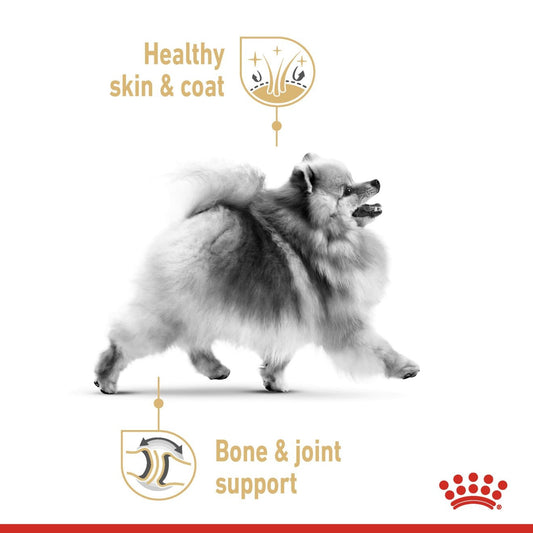 ROYAL CANIN POMERANIAN (WET FOOD - POUCHES)