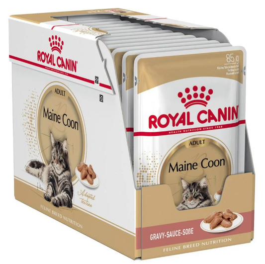Royal Canin MAINE COON (WET FOOD - POUCHES)