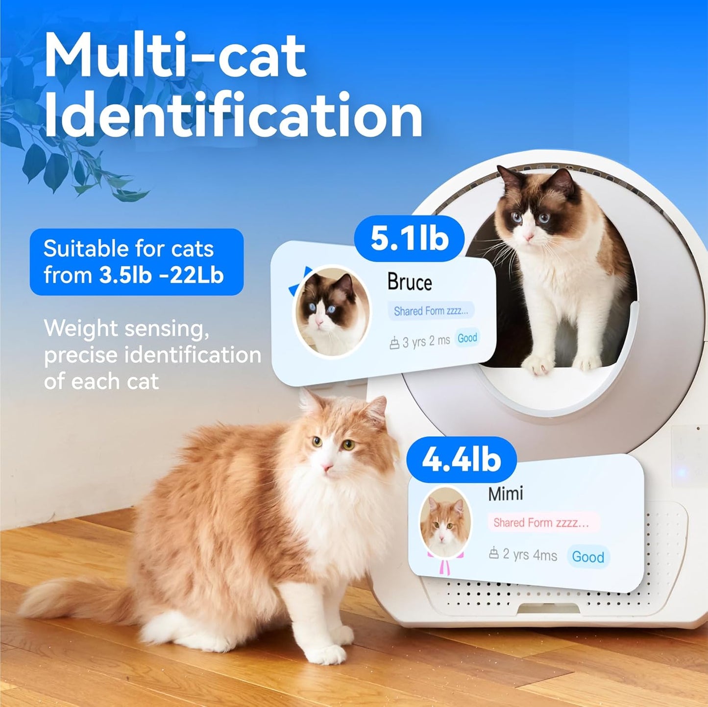 CATLINK (Luxury Pro-X) Self Cleaning Cat Litter Box for Multiple Cats, Health Monitoring, Automatic Litter Box with APP