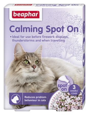 Calming Spot on Cat