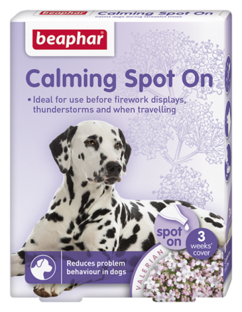 Calming Spot on Dog