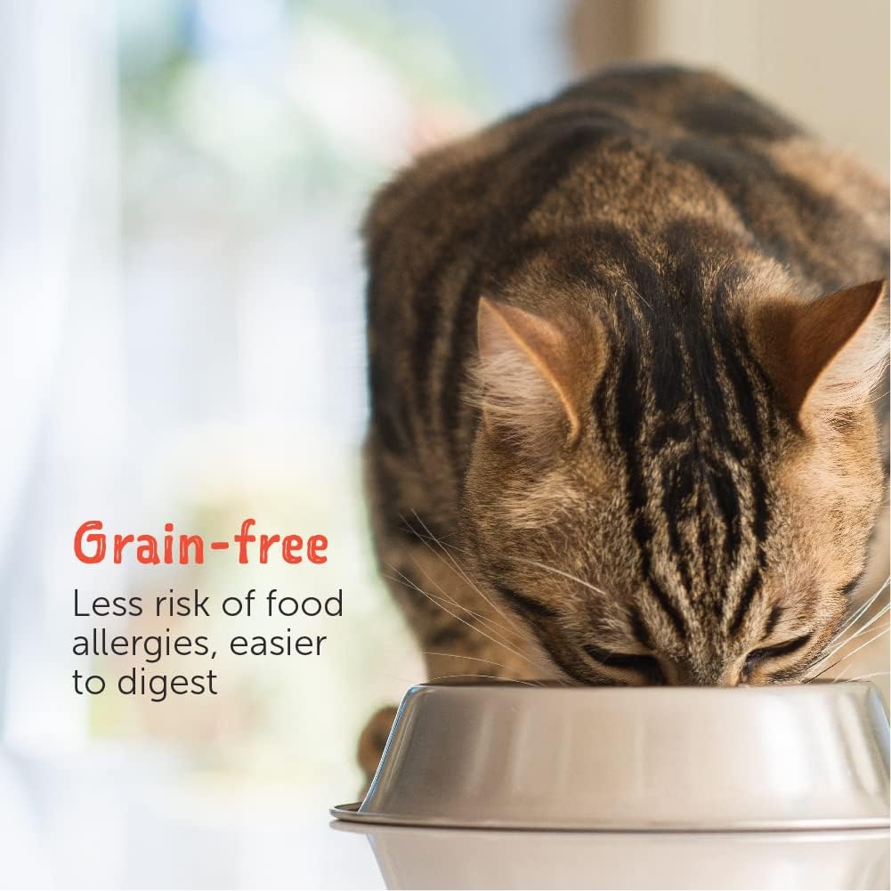 Loveabowl Chicken Snowflakes In Broth (Chicken And Quail Egg) Grain Free Wet Cat Food 70g